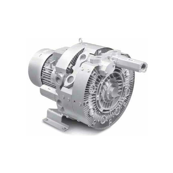 BLOWERS - Single impeller / Single stadium - 1phase (HP Series)